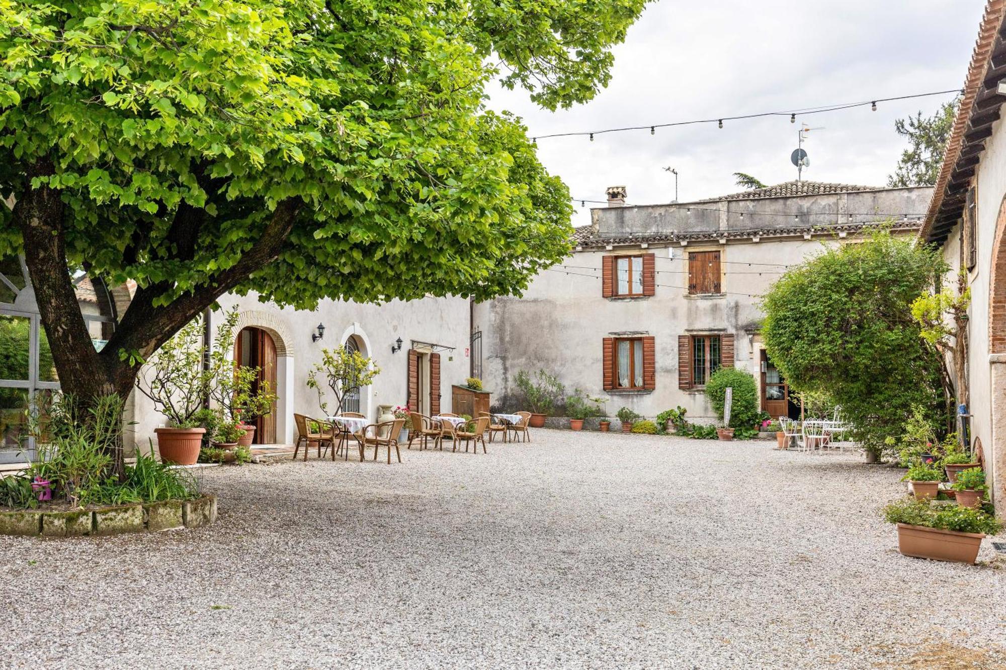 Agriturismo Della Pieve Bardolino Eksteriør bilde